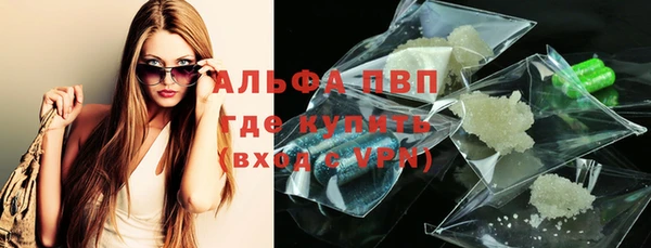 стафф Алзамай